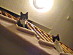 View full size picture
