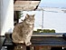 View full size picture