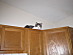 View full size picture