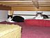 View full size picture