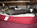 View full size picture