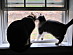 View full size picture
