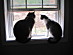 View full size picture