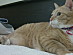 View full size picture