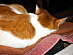 View full size picture