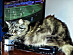 View full size picture