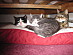 View full size picture
