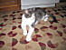 View full size picture