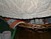 View full size picture