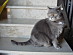 View full size picture
