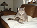 View full size picture