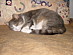 View full size picture