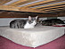 View full size picture