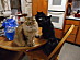 View full size picture