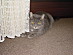 View full size picture