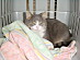 View full size picture