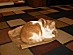 View full size picture