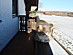 View full size picture