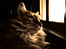 View full size picture
