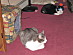 View full size picture