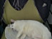 View full size picture