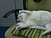 View full size picture