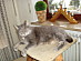 View full size picture