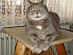 View full size picture