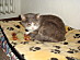 View full size picture
