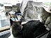 View full size picture