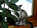 View full size picture