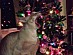 View full size picture