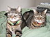 View full size picture