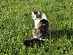 View full size picture
