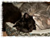 View full size picture