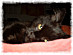 View full size picture