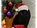 View full size picture