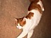 View full size picture