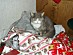View full size picture