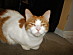 View full size picture