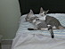 View full size picture