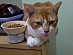View full size picture