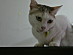 View full size picture