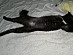 View full size picture