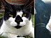 View full size picture