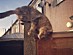 View full size picture