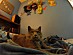 View full size picture