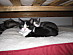 View full size picture