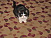 View full size picture