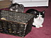 View full size picture